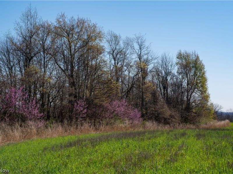 Sealover Hollow Rd Road, Philo, OH 43771 Photo 27