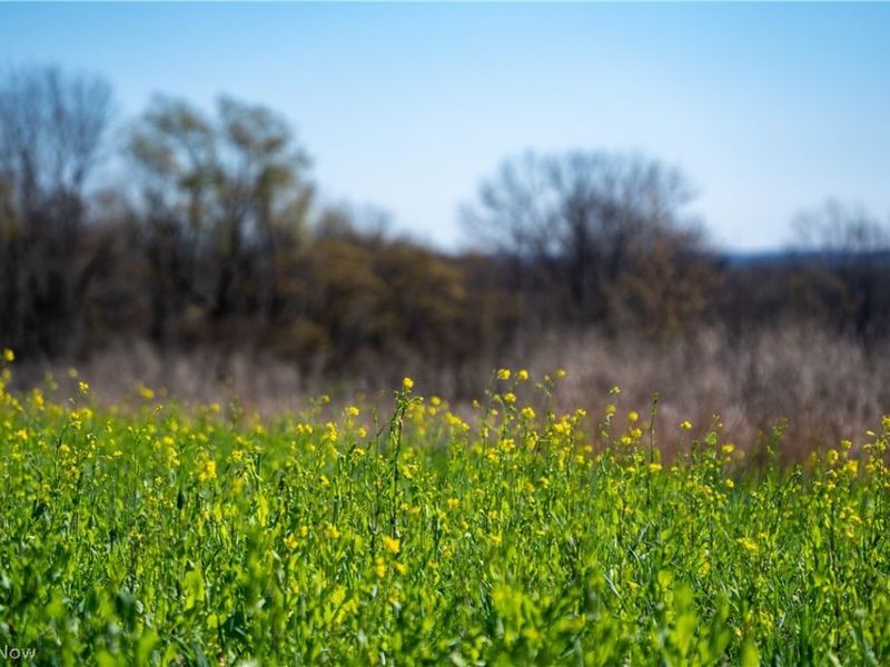 Sealover Hollow Rd Road, Philo, OH 43771 Photo 28