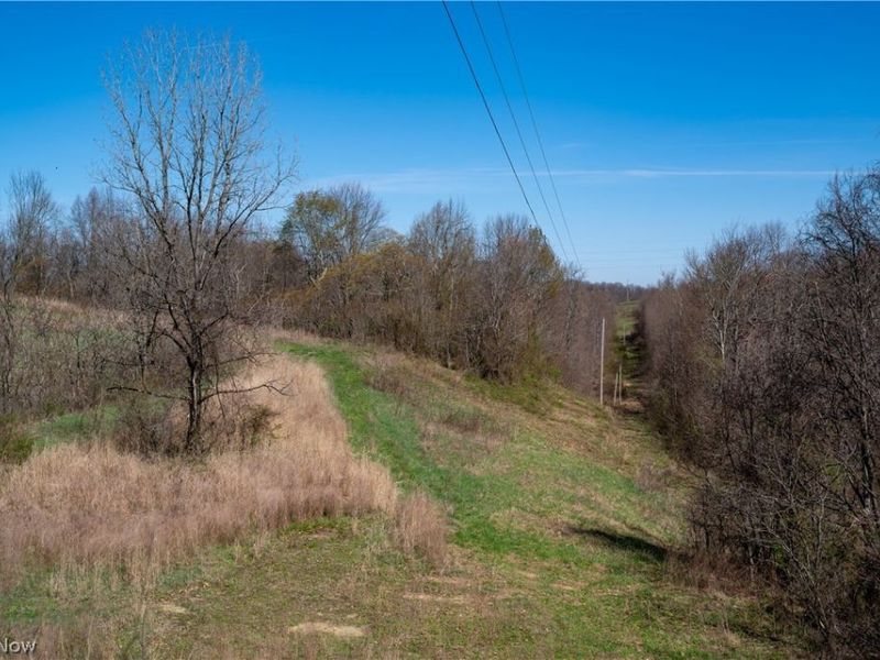 Sealover Hollow Rd Road, Philo, OH 43771 Photo 29