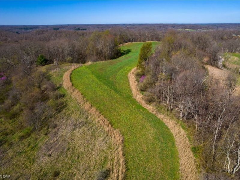 Sealover Hollow Rd Road, Philo, OH 43771 Photo 3