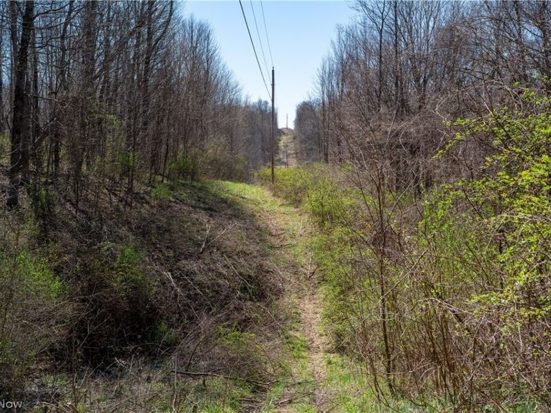 Sealover Hollow Rd Road, Philo, OH 43771 Photo 30