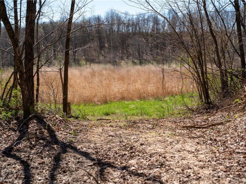 Sealover Hollow Rd Road, Philo, OH 43771 Photo 31