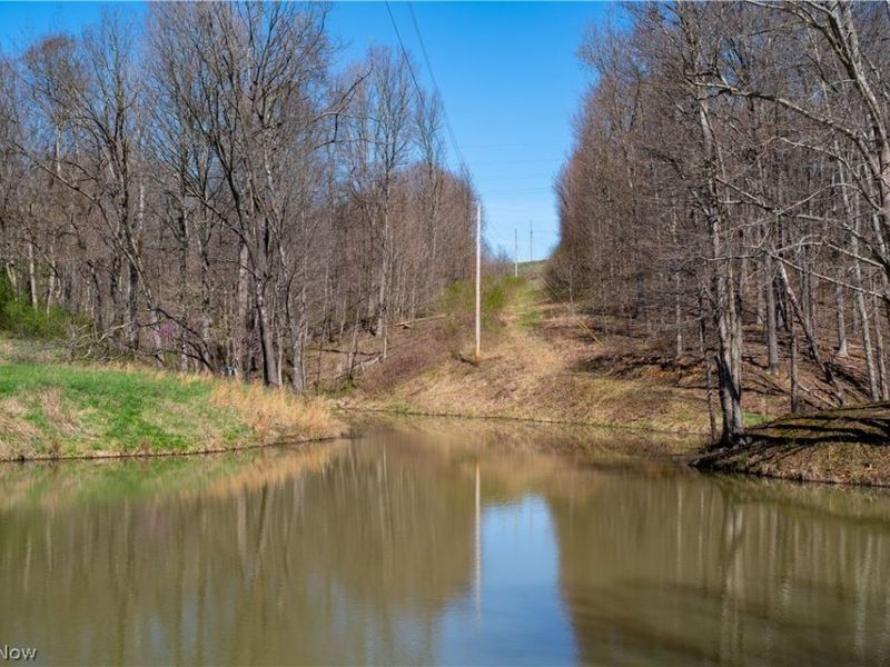 Sealover Hollow Rd Road, Philo, OH 43771 Photo 32