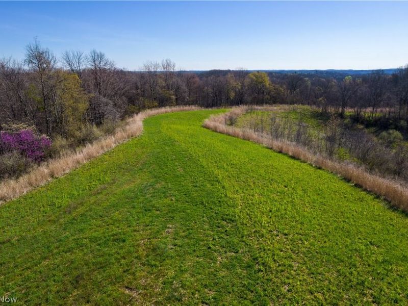 Sealover Hollow Rd Road, Philo, OH 43771 Photo 33