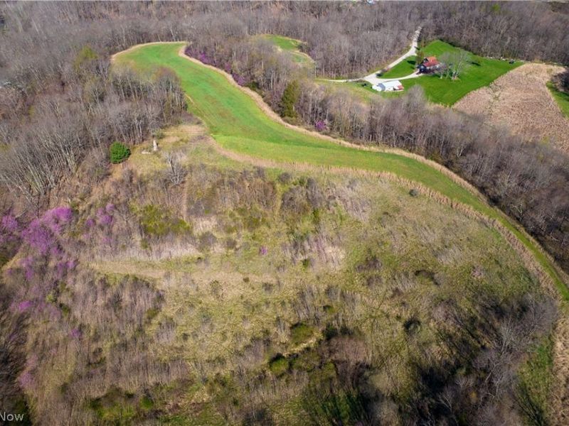 Sealover Hollow Rd Road, Philo, OH 43771 Photo 35