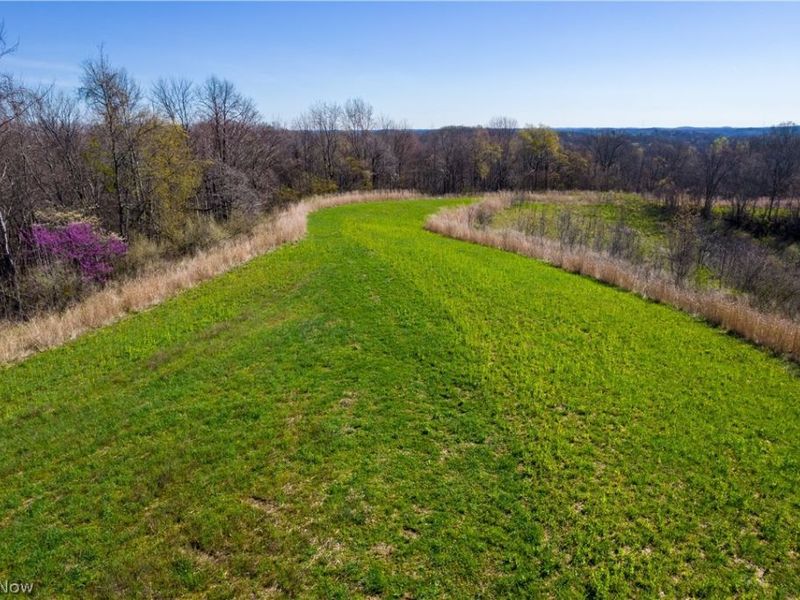 Sealover Hollow Rd Road, Philo, OH 43771 Photo 36