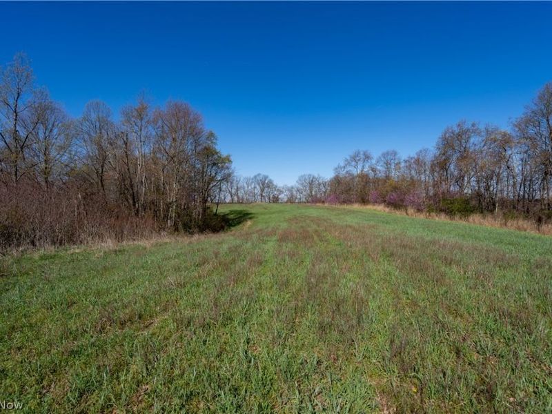 Sealover Hollow Rd Road, Philo, OH 43771 Photo 4