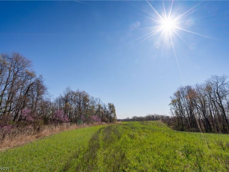 Sealover Hollow Rd Road, Philo, OH 43771 Photo 5