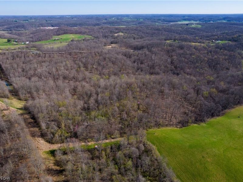 Sealover Hollow Rd Road, Philo, OH 43771 Photo 6