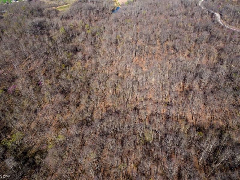 Sealover Hollow Rd Road, Philo, OH 43771 Photo 7