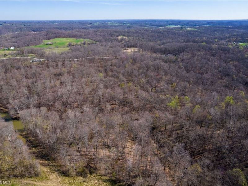 Sealover Hollow Rd Road, Philo, OH 43771 Photo 8