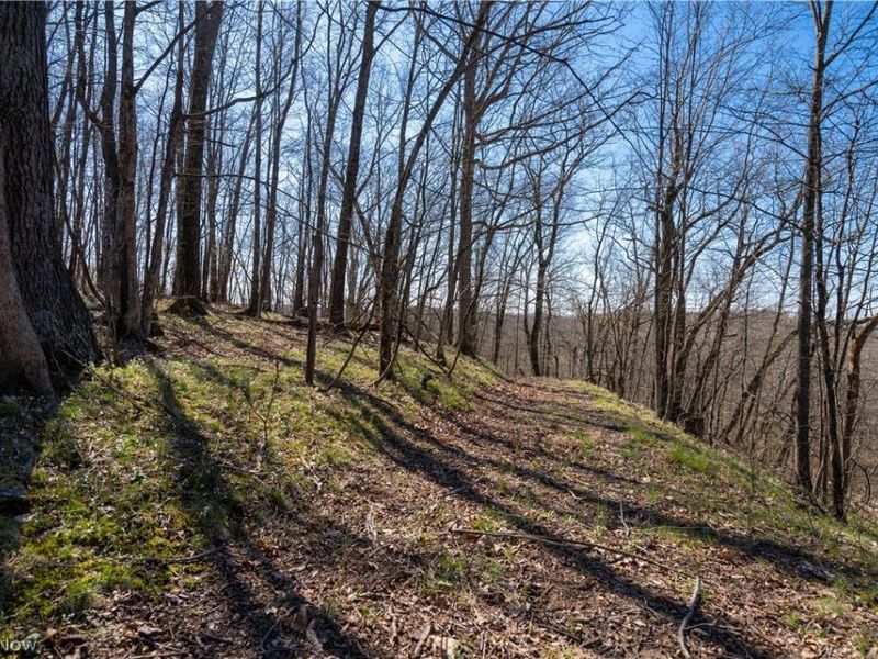 Sealover Hollow Rd Road, Philo, OH 43771 Photo 9