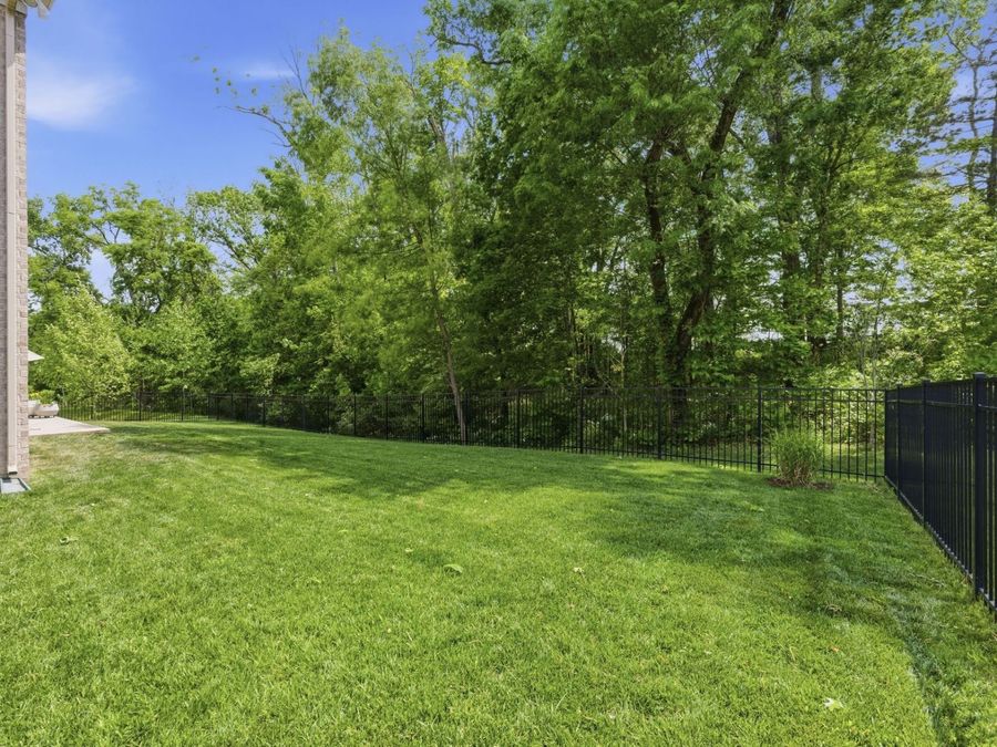 Property Image 49