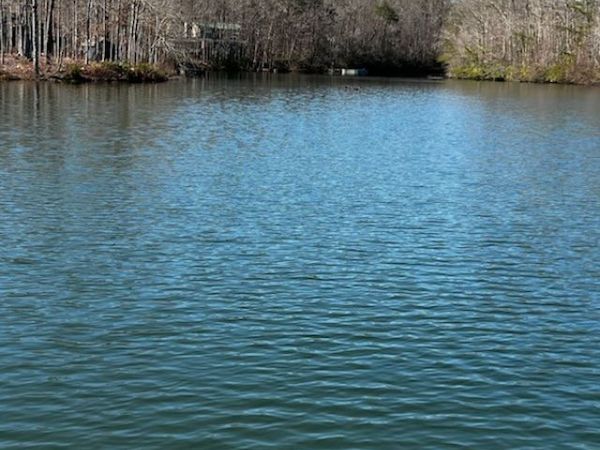 0 Crystal Point , Monterey, TN 38574