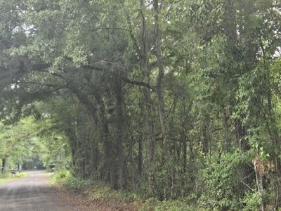 Lot 2 Rodenberry Road, Cross, SC 29436