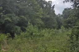 Lot 2 Rodenberry Road photo 4