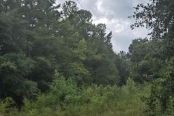 Lot 2 Rodenberry Road photo 4