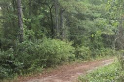 Lot 2 Rodenberry Road photo 4