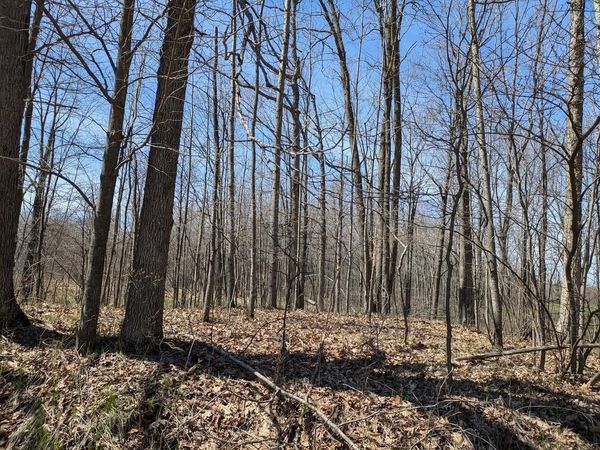 Parcel# 0400147 JOHNSON ROAD, Pittsville, WI 54466