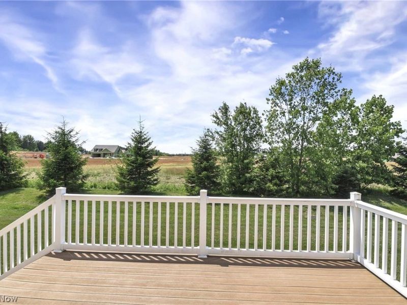 6530 Wisteria Lane, Medina, OH 44256 Photo 39