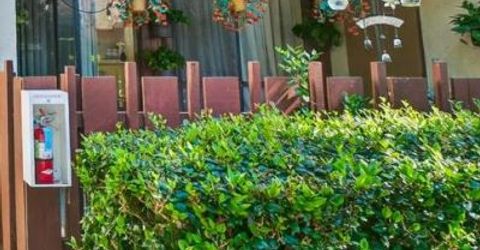 38618 Country Ter, Fremont, CA 94536 Photo