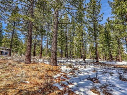 300 Bob Haslem, Truckee, CA 96161 Photo