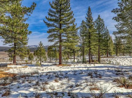 300 Bob Haslem, Truckee, CA 96161 Photo