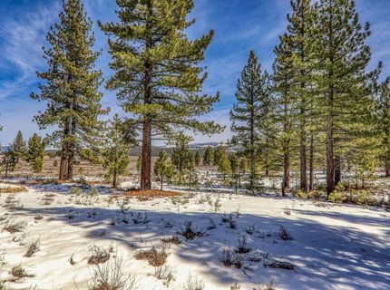 300 Bob Haslem, Truckee, CA 96161 Photo