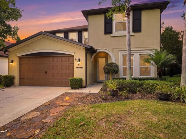8005 CYPRESS CROSSING COURT, TAMPA, FL 33647