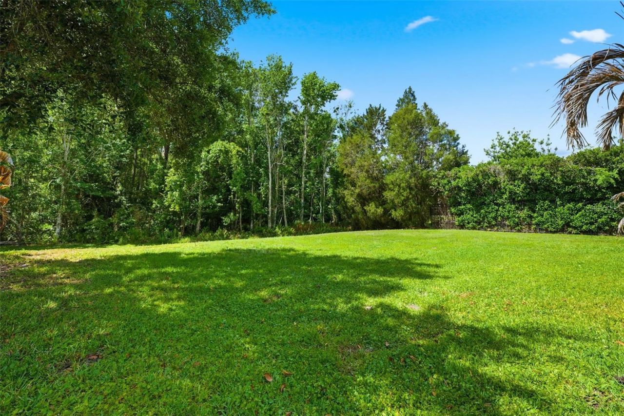 8005 Cypress Crossing Court, Tampa, FL 33647 Photo