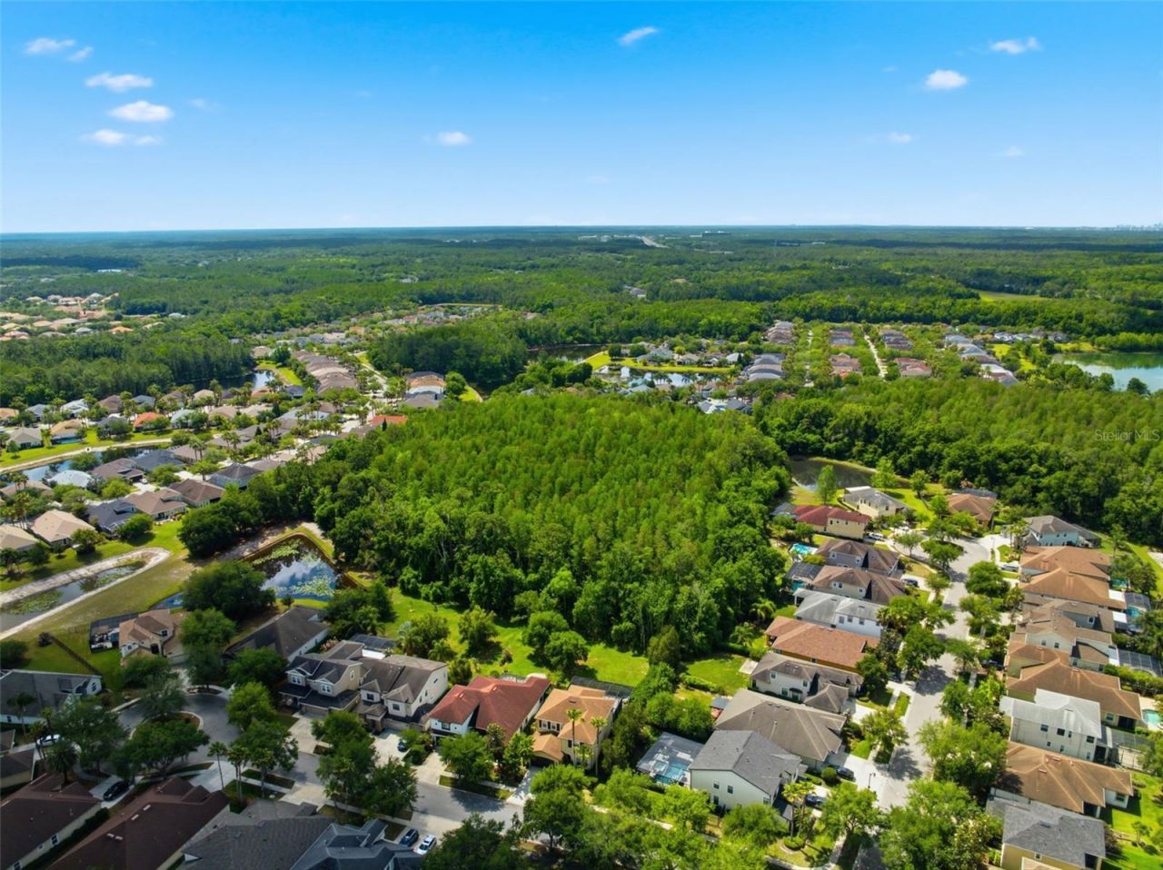 8005 Cypress Crossing Court, Tampa, FL 33647 Photo