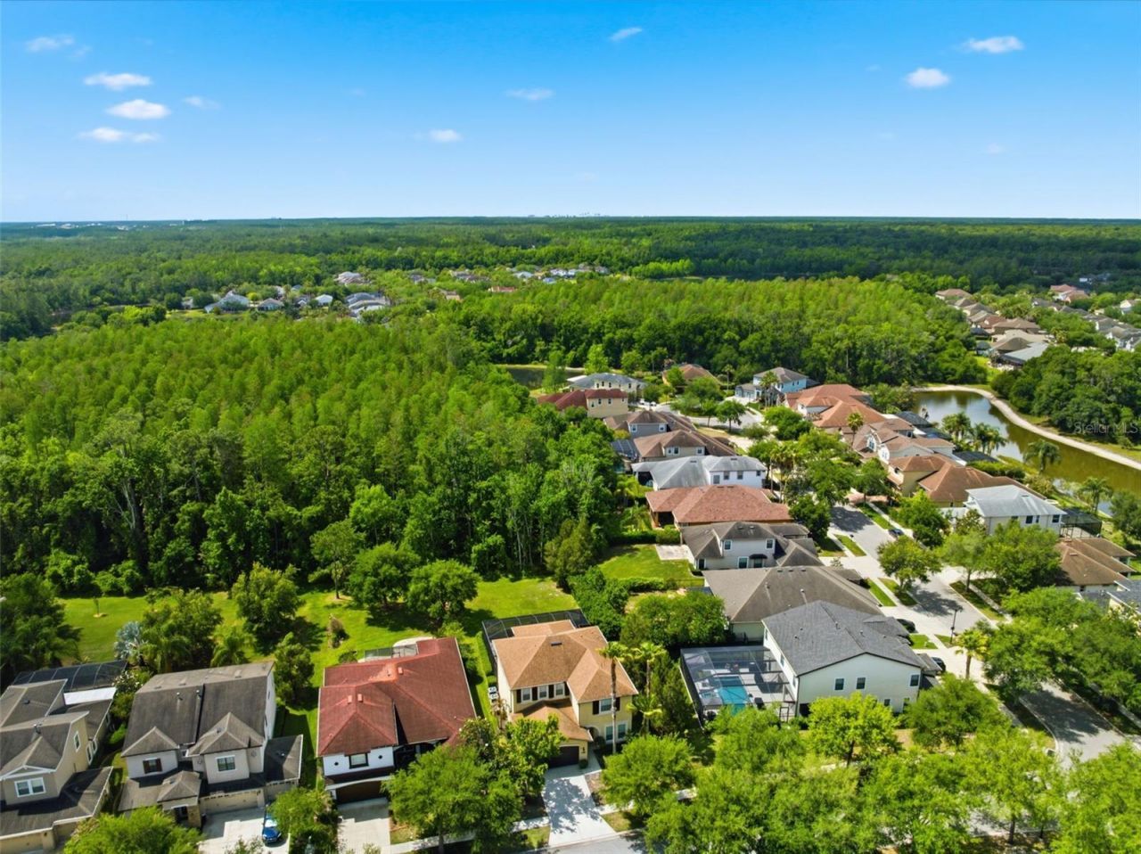 8005 Cypress Crossing Court, Tampa, FL 33647 Photo