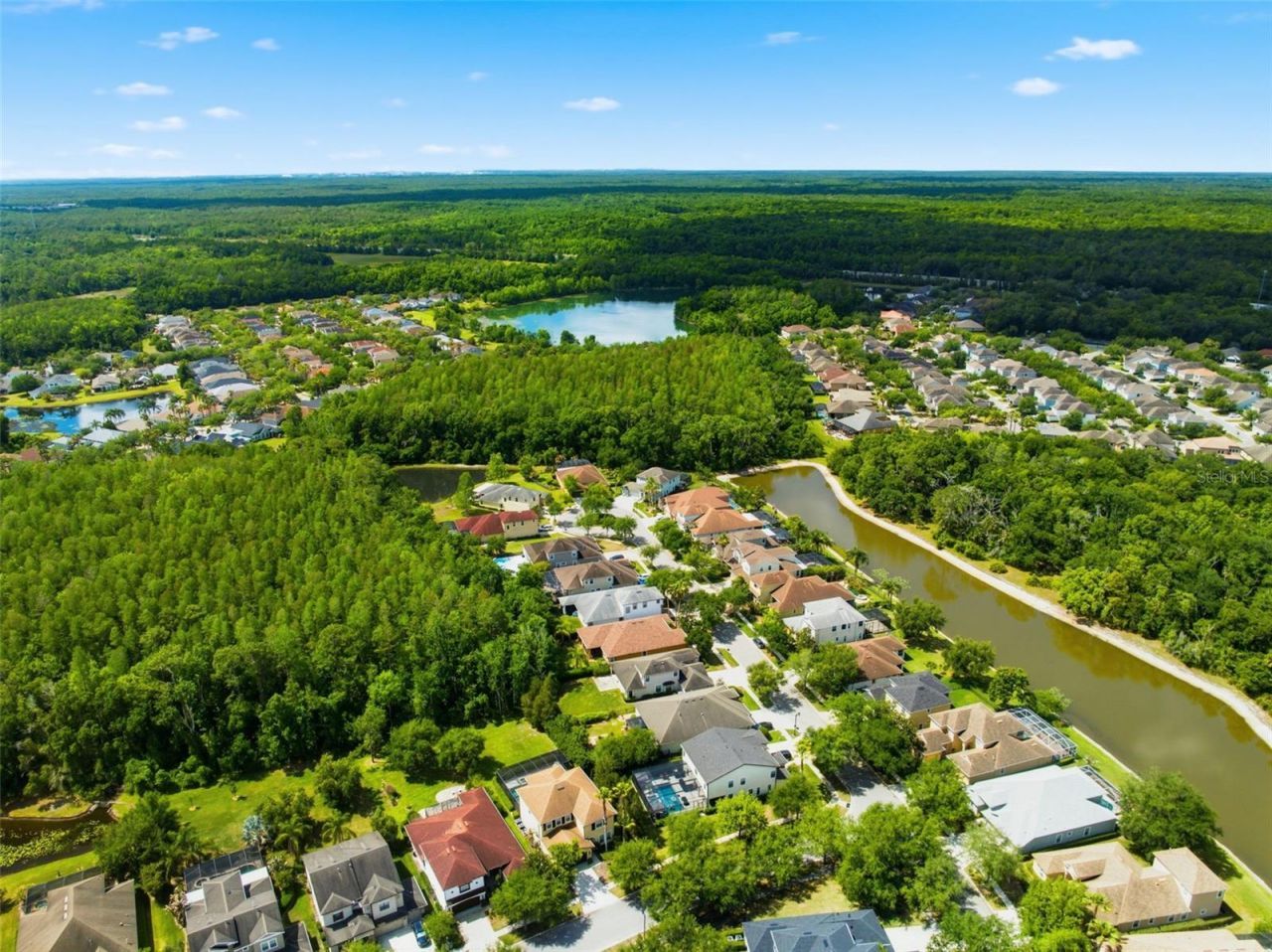 8005 Cypress Crossing Court, Tampa, FL 33647 Photo