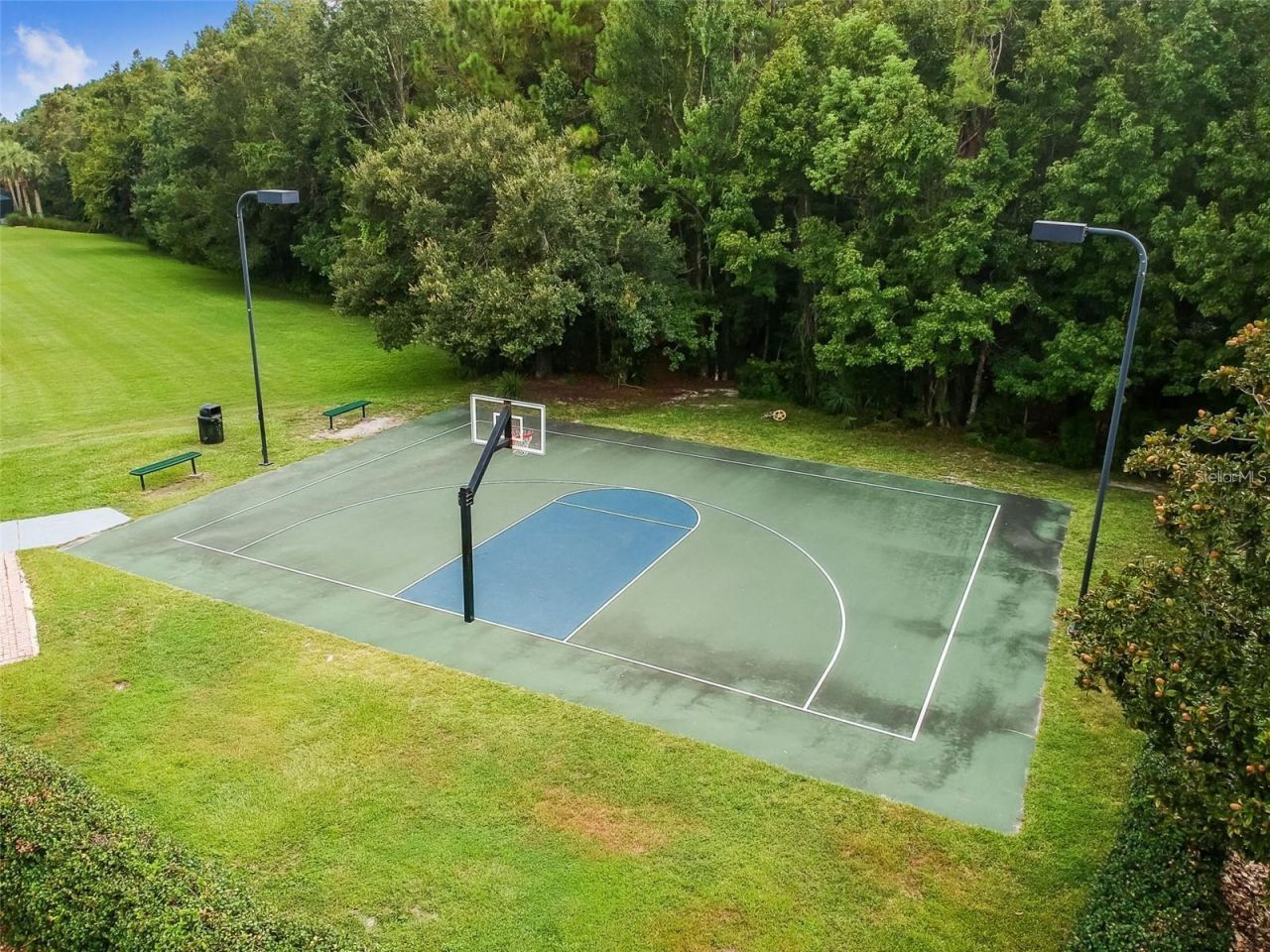 8005 Cypress Crossing Court, Tampa, FL 33647 Photo