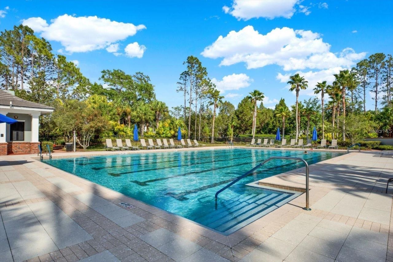 8005 Cypress Crossing Court, Tampa, FL 33647 Photo