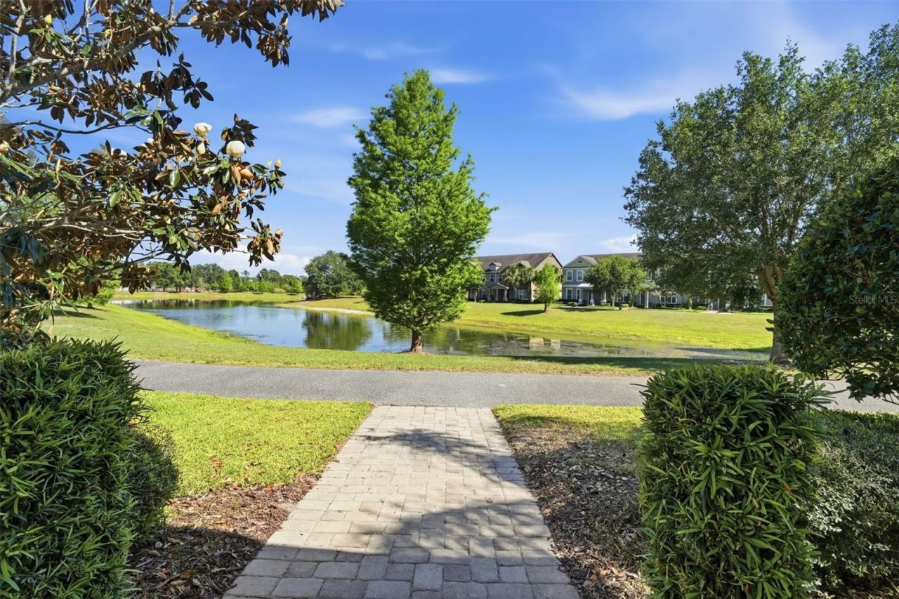 11486 Misty Oak Alley, Windermere, FL 34786 Photo