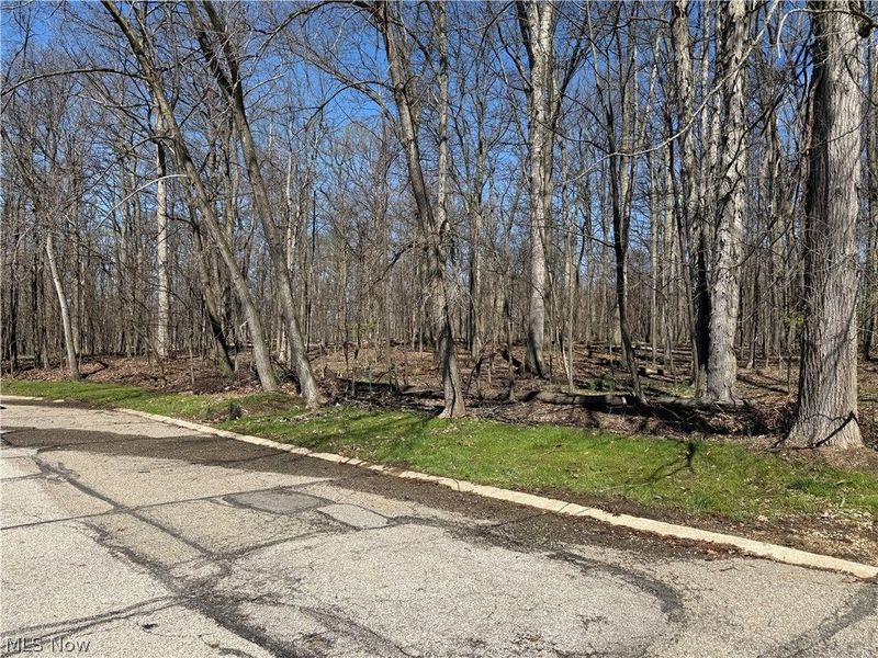 7607 Creekwood Drive, North Royalton, OH 44133 Photo 5