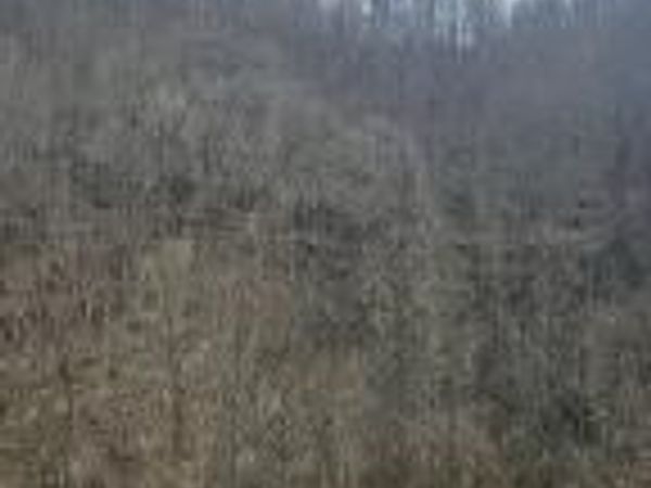 792 Adria Road, North Tazewell, VA 24630