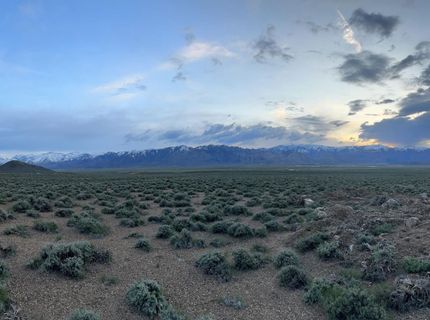 4600 Risue Road, Gardnerville, NV 89410 Photo