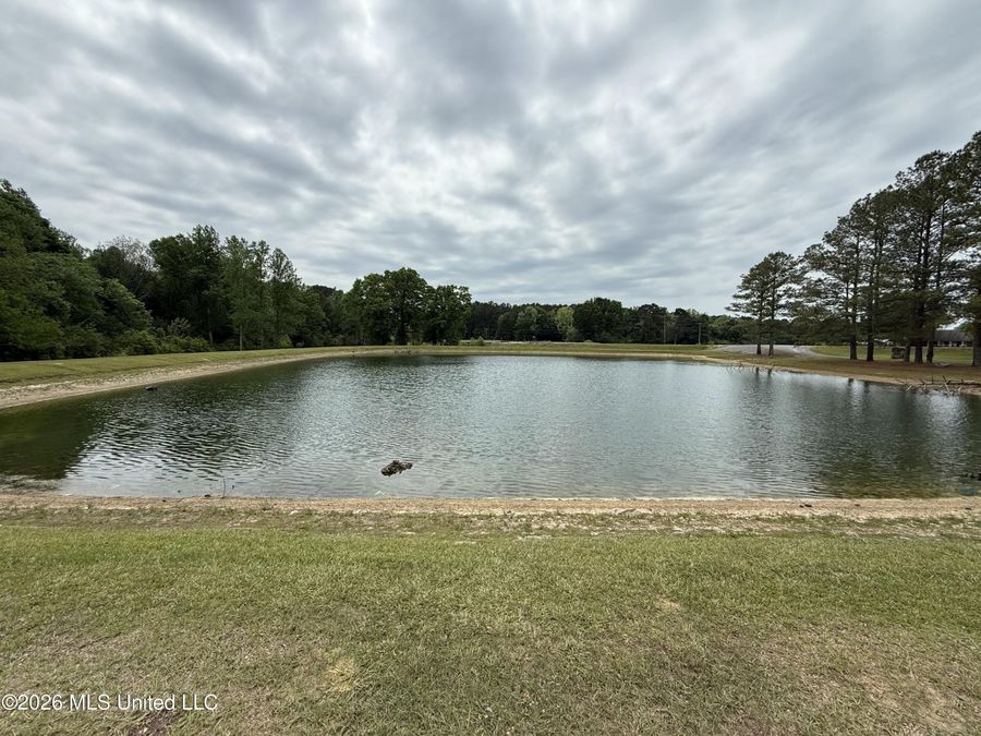 Property Image 62