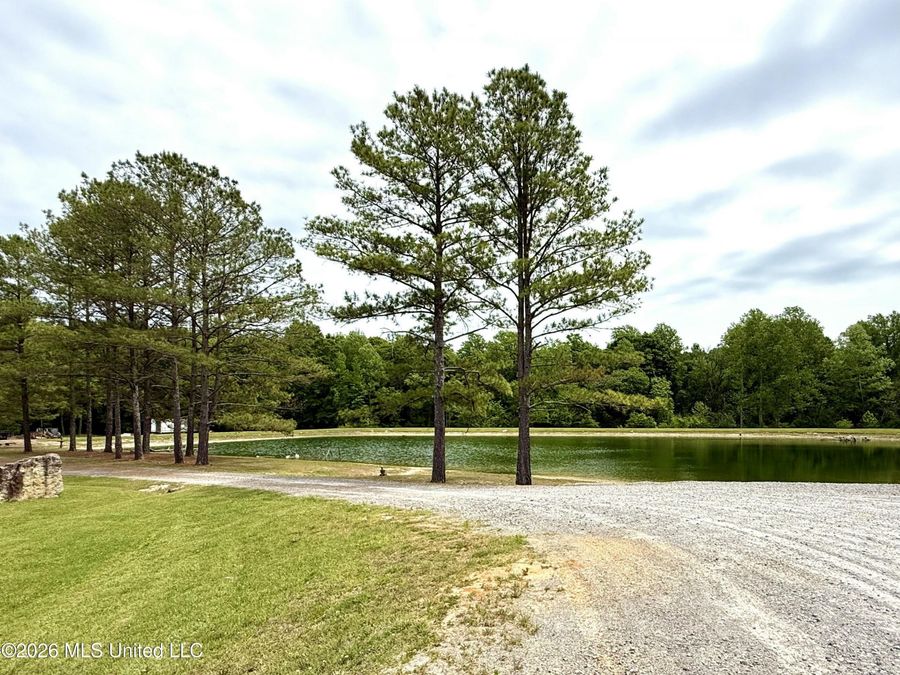 Property Image 64