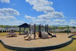 503 Carters Grove Lane  photo 4