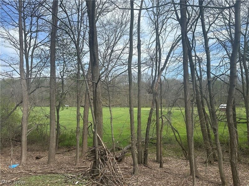 V/L Newton Drive, Wadsworth, OH 44281 Photo 7