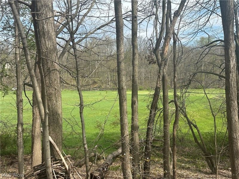 V/L Newton Drive, Wadsworth, OH 44281 Photo 8