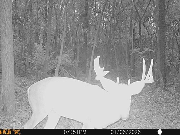 23013 Hawk Avenue, Fillmore, IL 62032