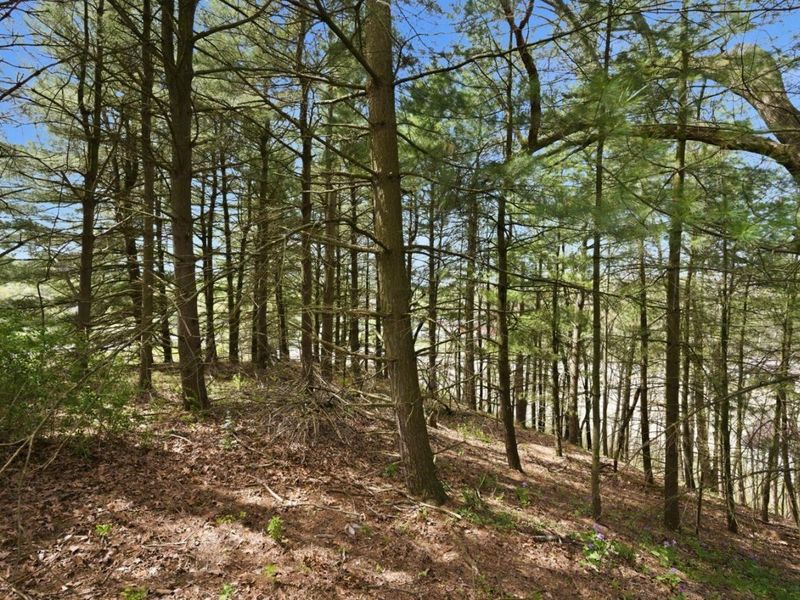 3741 Mayfair Lane , Cambridge, OH 43725 Photo 46