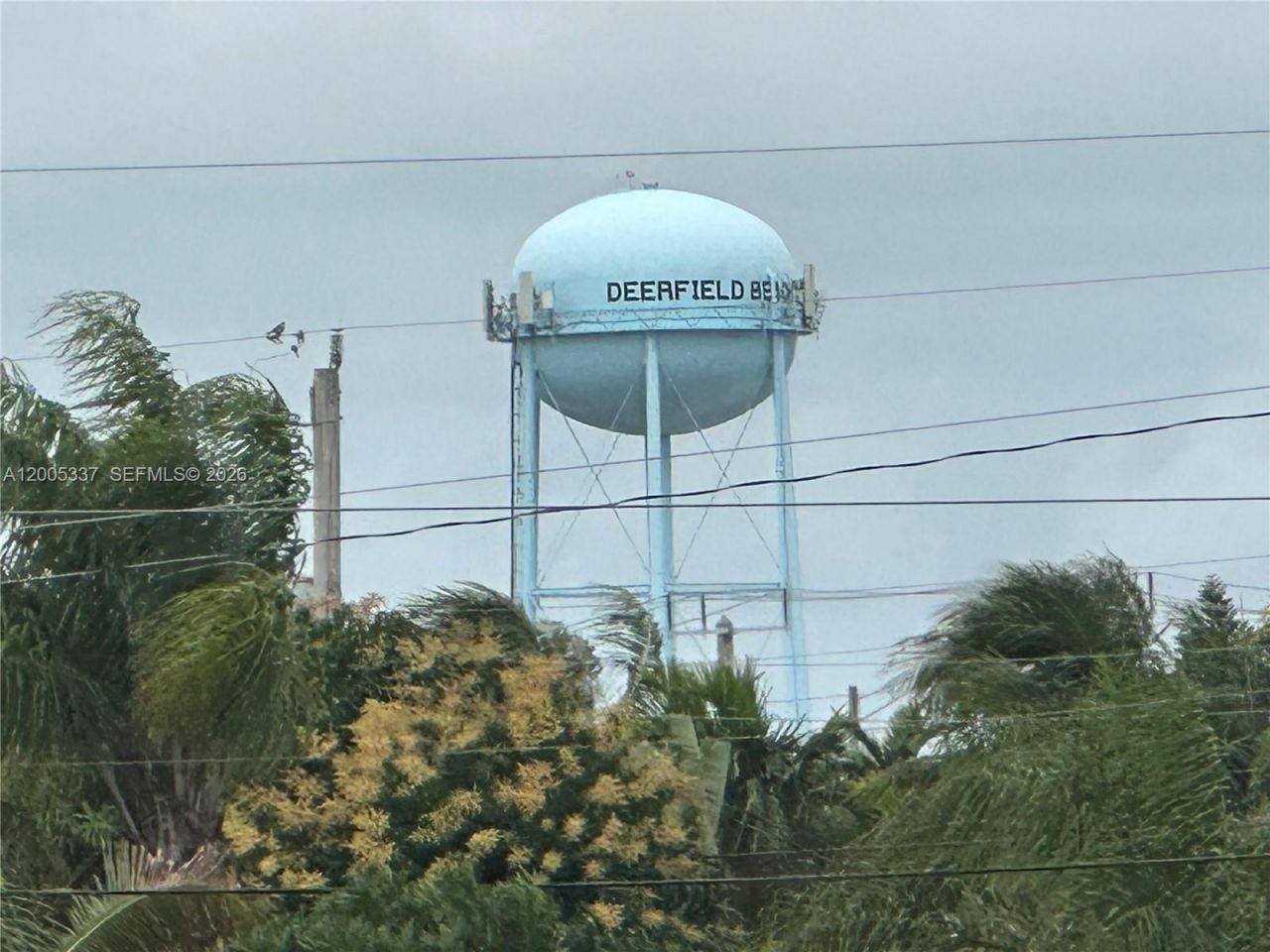 1100 SE 4th Ave, Unit 32, Deerfield Beach, FL 33441 Photo