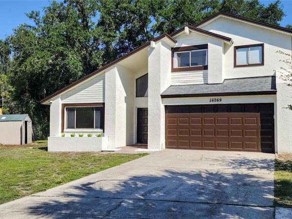 16169 GARDENDALE DRIVE , TAMPA, FL 33624