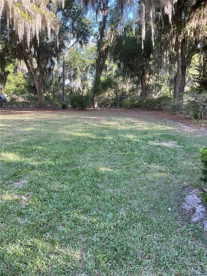 17005 Arrowhead Boulevard, Winter Garden, FL 34787 Photo