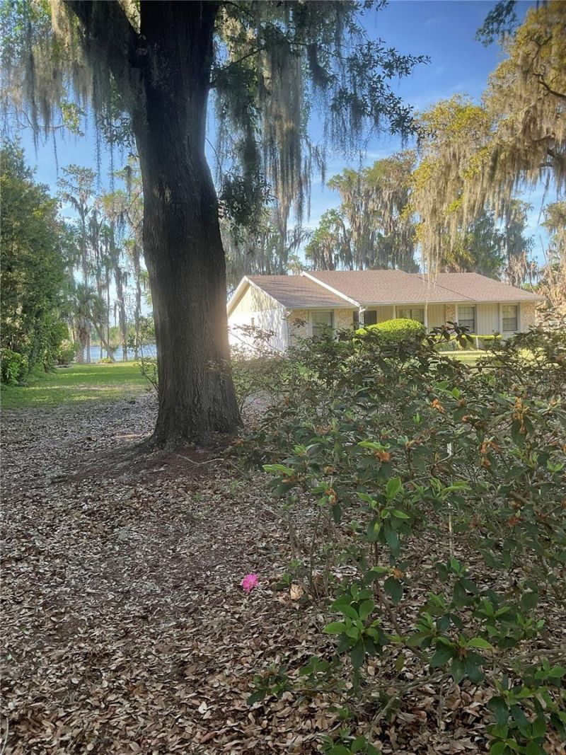 17005 Arrowhead Boulevard, Winter Garden, FL 34787 Photo